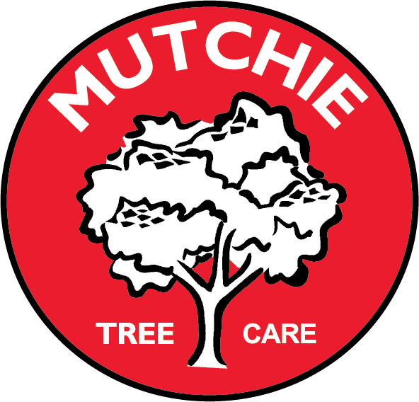 Mutchie Tree Service Logo
