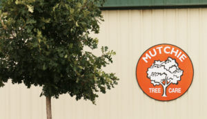 Mutchie Tree Service center