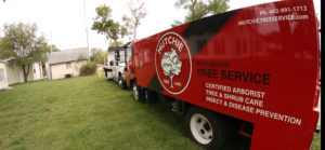 Mutchie Tree Care truck fleet
