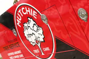 Mutchie Tree Service spray truck